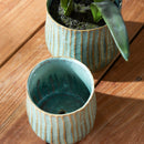 NAPA Home & Garden, IRWYN POTS, SET OF 2,NCH504