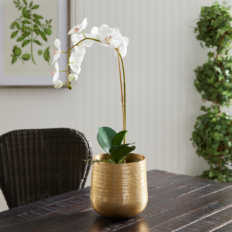 NAPA Home & Garden, EMBERLYNN CACHEPOT SMALL,NDK204GD