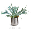 NAPA Home & Garden, EMBERLYNN CACHEPOT Collection