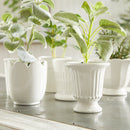 NAPA Home & Garden, MIRABELLE MINI CACHEPOTS, SET OF 6,NFD229