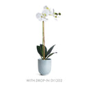 NAPA Home & Garden, MIA Mini Pot Collection