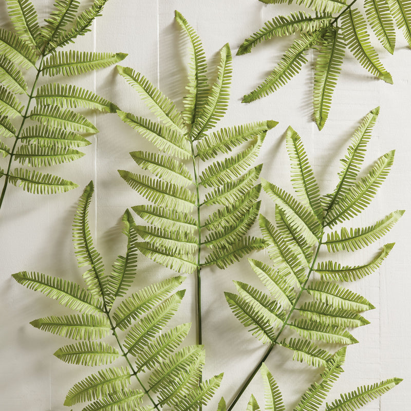 NAPA Home & Garden, TREE FERN STEM 42.5",NGP502