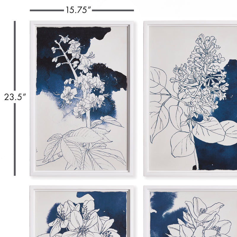 NAPA Home & Garden, STUDIO FLORAL SKETCHES, SET OF 4,NH240
