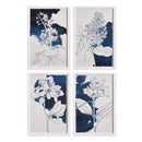 NAPA Home & Garden, STUDIO FLORAL SKETCHES, SET OF 4,NH240