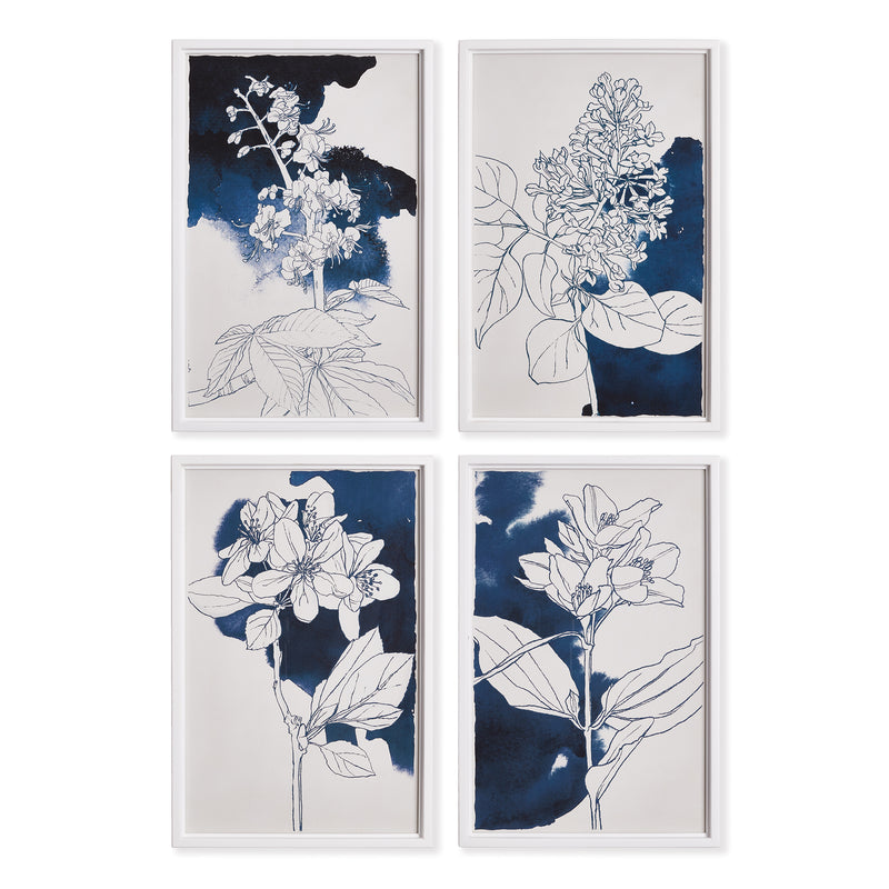NAPA Home & Garden, STUDIO FLORAL SKETCHES, SET OF 4,NH240
