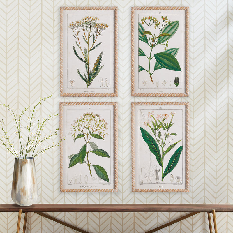 NAPA Home & Garden, MEADOW BOTANICAL STUDY, SET OF 4,NH408