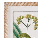 NAPA Home & Garden, MEADOW BOTANICAL STUDY, SET OF 4,NH408