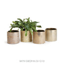NAPA Home & Garden, SAFI POTS, SET OF 4,NHV409