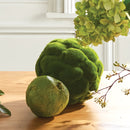 NAPA Home & Garden, MOOD MOSS ORB Collection
