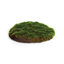 NAPA Home & Garden, MOSS SHEET