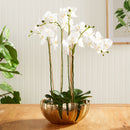 NAPA Home & Garden, MELODY DECORATIVE BOWL,NLG225