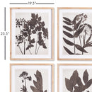 NAPA Home & Garden, PRESSED FOLIAGE PRINTS, SET OF 4,NNH507