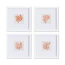 NAPA Home & Garden, BRANCH CORAL PETITE PRINTS, SET OF 4,NNH515