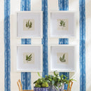 NAPA Home & Garden, FOREST GREENERY PETITE PRINTS, SET OF 4,NNH516