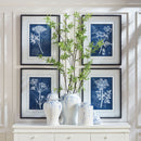 NAPA Home & Garden, CYANOTYPE QUEEN ANNES LACE PRINTS, SET OF 4,NNH520