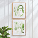 NAPA Home & Garden, AQUATIC LEAF PRINTS, SET OF 2,NNH521