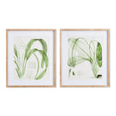 NAPA Home & Garden, AQUATIC LEAF PRINTS, SET OF 2,NNH521