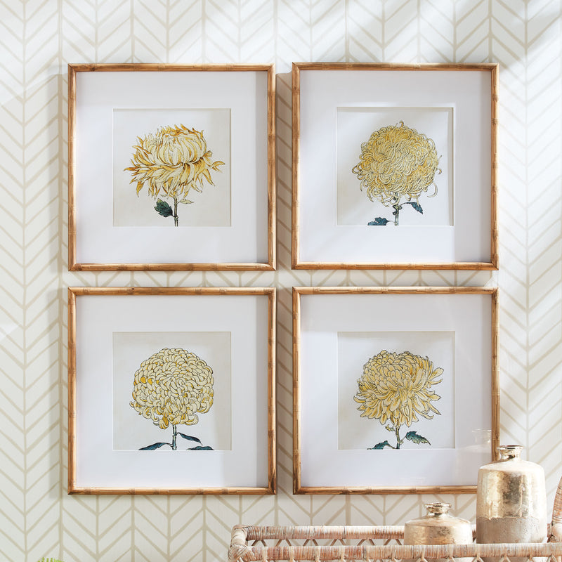 Napa Home Collection-Wall Art, Chrysanthemum Prints, Set of 4