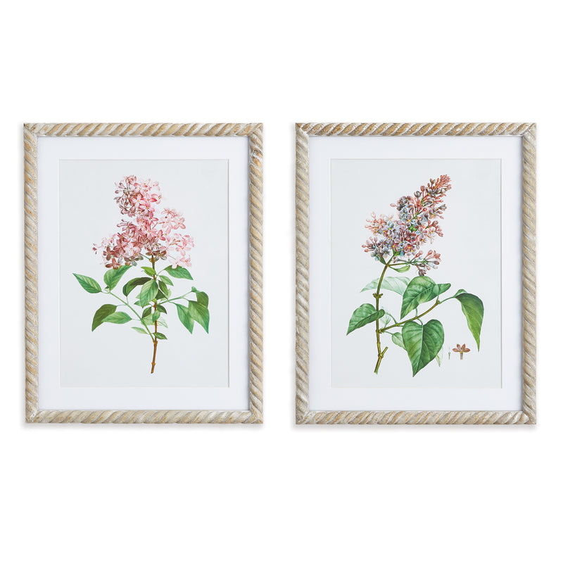 NAPA Home & Garden, LILAC CUTTING PRINTS, SET OF 2,NNH540