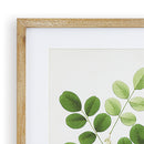 NAPA Home & Garden, TREE LEAF STUDY, SET OF 6,NNH549