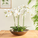 NAPA Home & Garden, MYRON DECORATIVE BOWL,NRB428