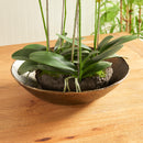 NAPA Home & Garden, MYRON DECORATIVE BOWL,NRB428