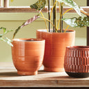NAPA Home & Garden, AUBREY POTS Collection