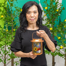 Cottage Garden Outdoor Lamps & Lighting, Glass Metal Solar Lantern, Dragonfly, 7"H