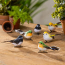 What She Shed Tree Decor Clips Birds, 4.75"L, Set of 6