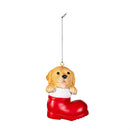 Heartfelt Cheer Pet Ornament Resin Dog in Stocking, Asst of 6, 4"