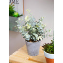 11" Tall Eucalyptus in Planter Table Décor in 9 Piece CDU