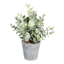 11" Tall Eucalyptus in Planter Table Décor in 9 Piece CDU