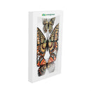 Harvest Blossoms, Outdoor Magnetic Glitter Monarch Butterfly in Gift Box, Set of 3