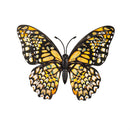 Harvest Blossoms, Outdoor Magnetic Glitter Monarch Butterfly in Gift Box, Set of 3