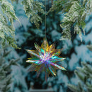 Pearl and Pine Outdoor Lamps & Lighting, LED Ornament, Iridescent Hanging Ornament Program Outdoor L