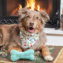 Heartfelt Cheer Pet Supplies & Accessories, Furry & Bright Bandana Gift Set