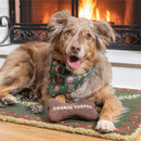 Sugar & Stripes Pet Supplies & Accessories, Cookie Tester Bandana Gift Set