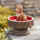 Playful Golden Retriever Tabletop Resin Birdbath