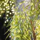 Indoor/Outdoor Lighted LED Green Willow Tree 4',phl018
