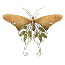 23.25"L x 19"H Metal Wall Décor, Luna Moth
