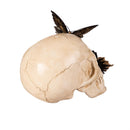 Resin Skull with Two Butterflies Statuary