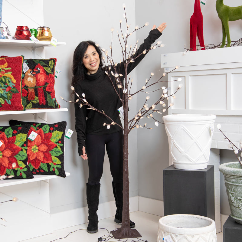 Indoor/Outdoor LED Silver Dollar Tree 6',phl410