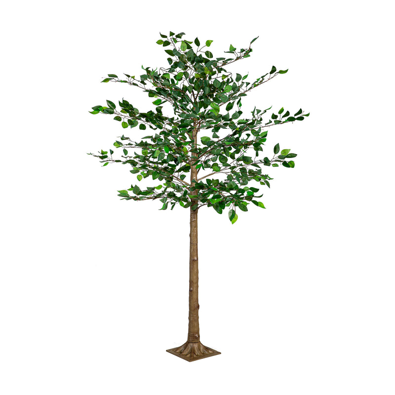 Indoor/Outdoor LED Ficus Tree 6'