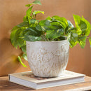 VivaStyle Planter, Ceramic Embossed Bloom, 5"H