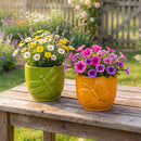 Cottage Garden Planter, Ceramic,Dragonfly and Butterfly Planter, 2 Asst