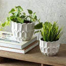 VivaStyle Planters, Ceramic Scalloped Planter, Nested Set of 2