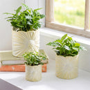 Hillside Pasture Planter, Ceramic Sunflower Embossed Planter, 5.5"Dx5.5"H, Set of 3