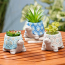 Seaside Retreat Planter, Ceramic Turtle, 5", Asst of 3, CDU