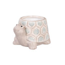 Seaside Retreat Planter, Ceramic Turtle, 5", Asst of 3, CDU