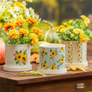 Harvest Blossom Planter, Ceramic Cachepot with Dish, 4.25", Asst of 3, CDU